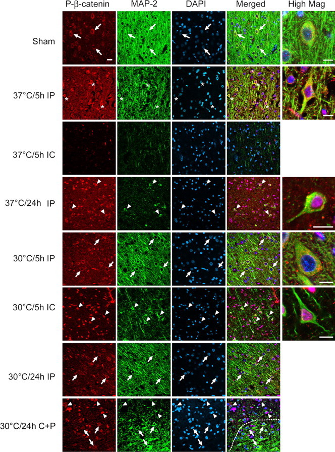 
Figure 11.
