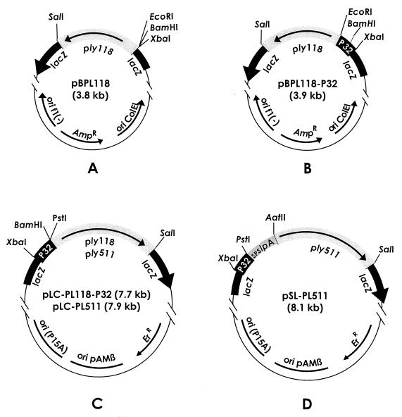 FIG. 1