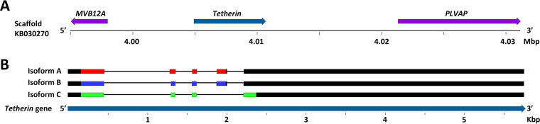 FIG 4