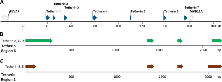 FIG 6