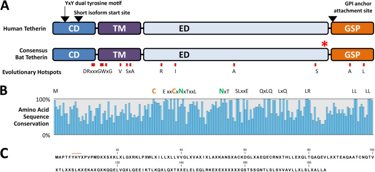 FIG 1