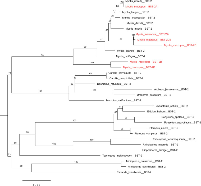 FIG 2