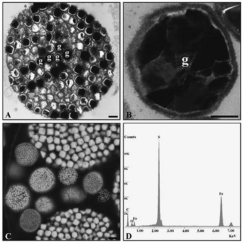 Figure 5.