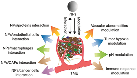 graphic file with name nihms-1054490-f0006.jpg