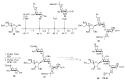 Scheme 4