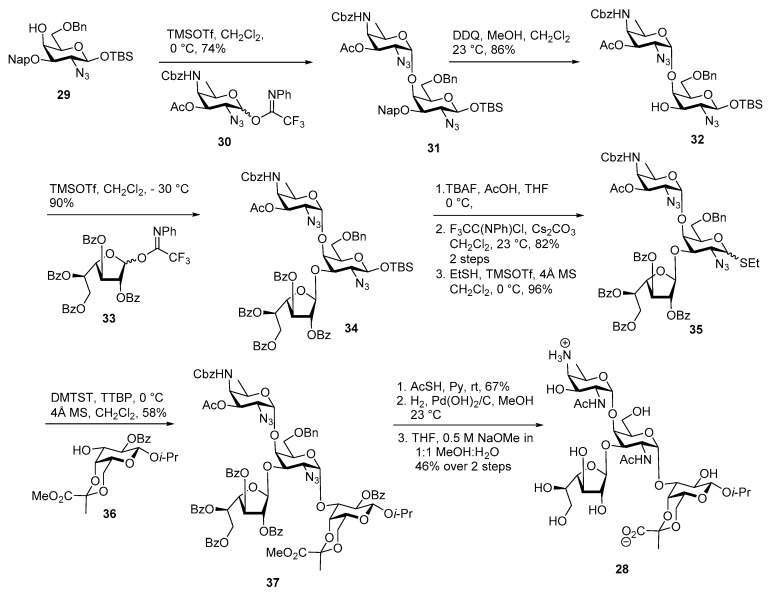 Scheme 5