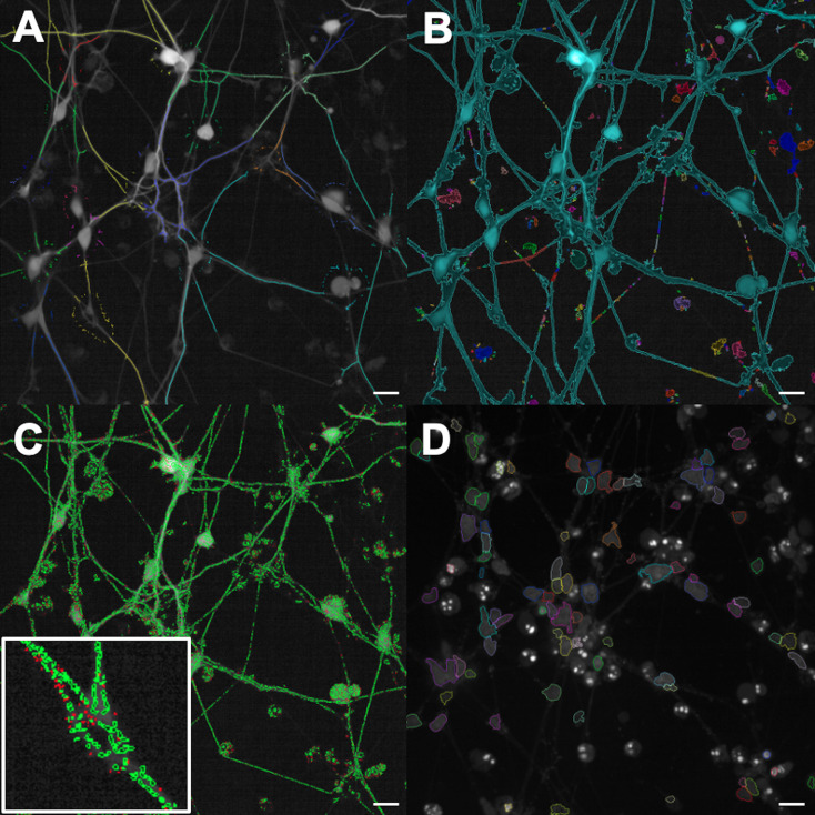 Figure 3.