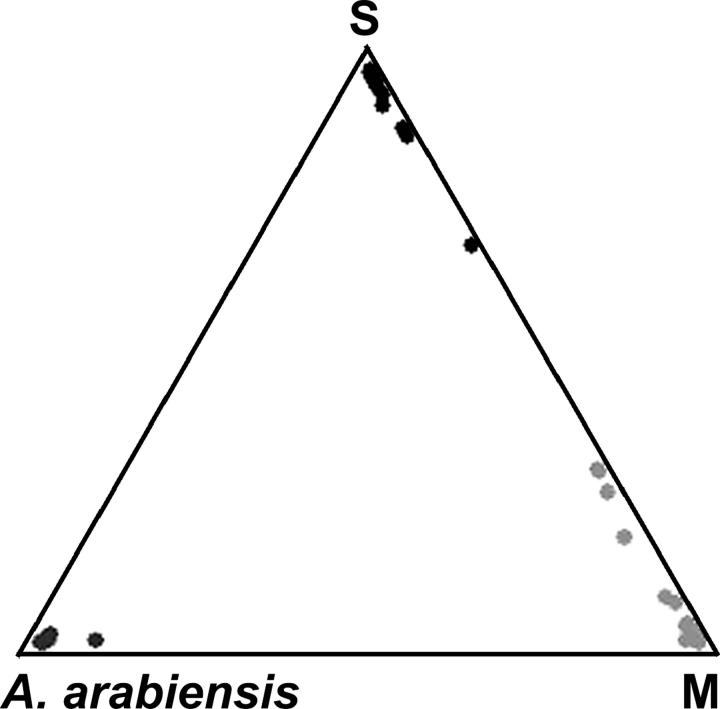 Figure 4.—