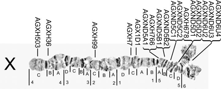 Figure 1.—