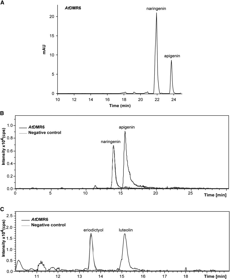 Figure 7.