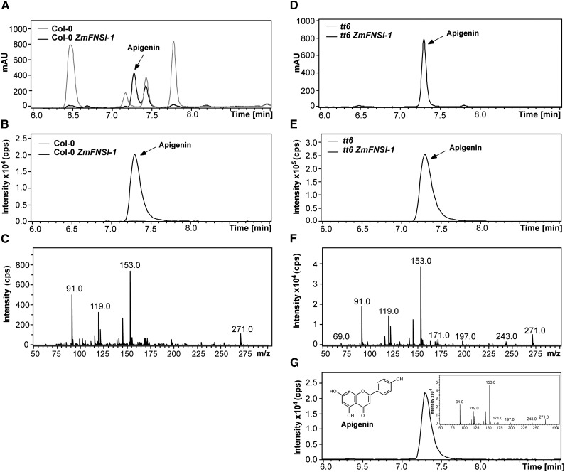 Figure 5.