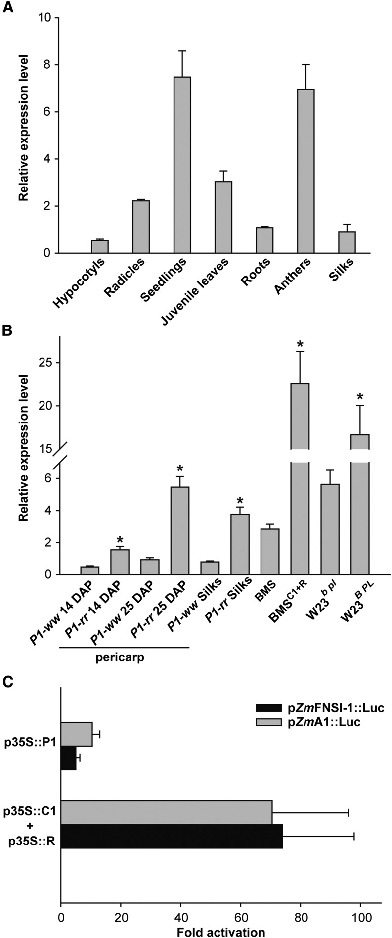 Figure 6.