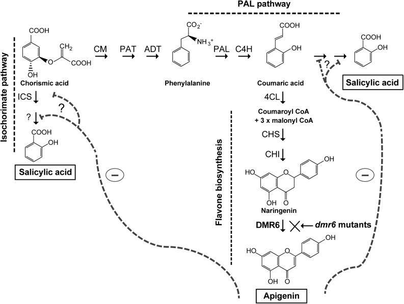 Figure 9.