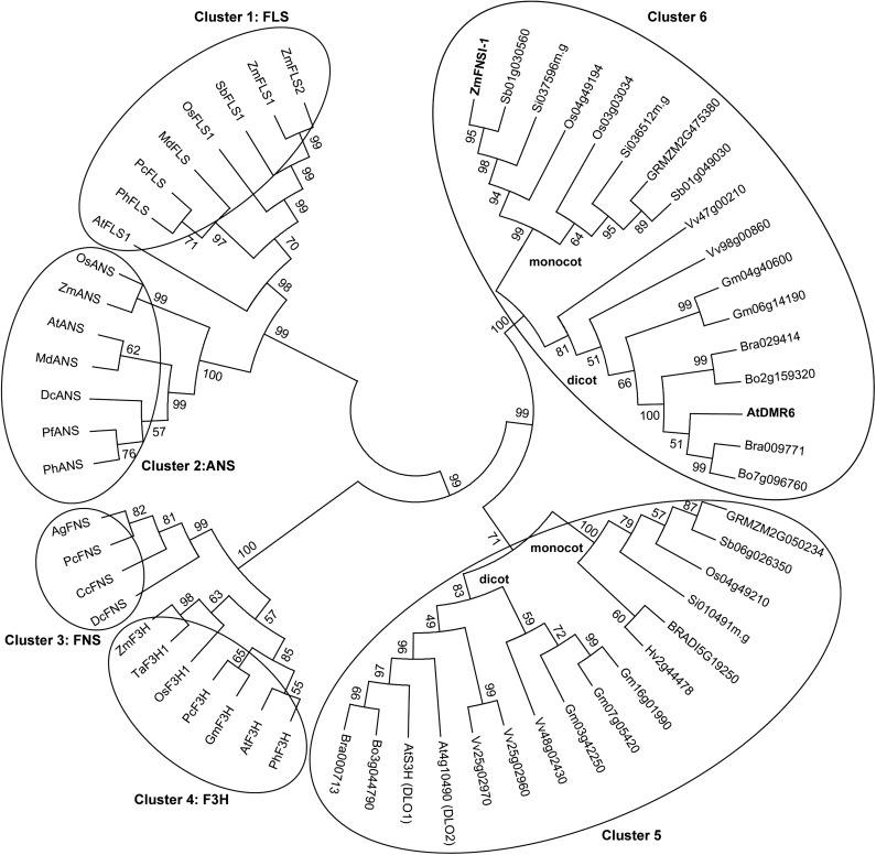 Figure 2.