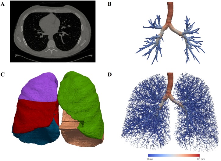 Fig 1