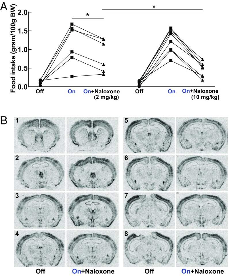 Fig. 7.