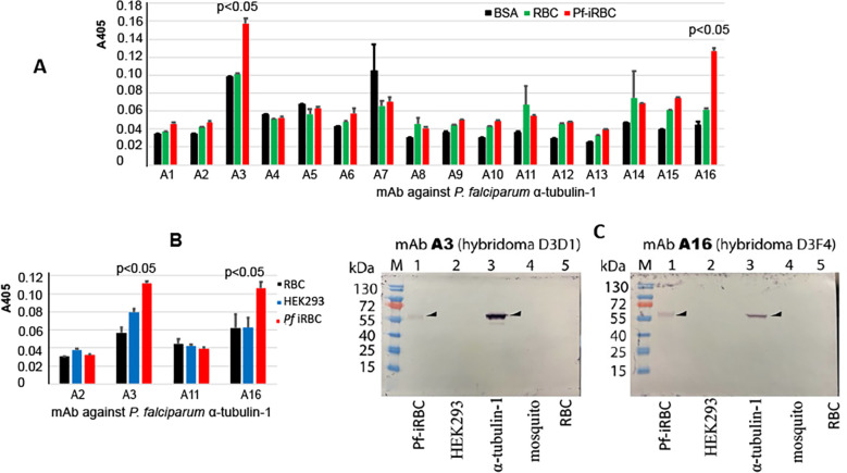 Figure 4