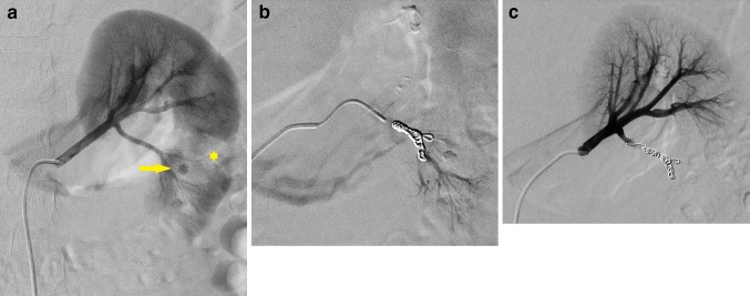 Fig. 5