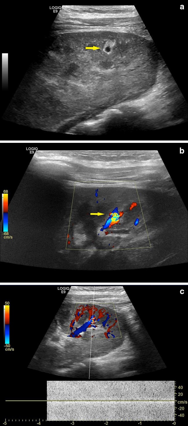 Fig. 6