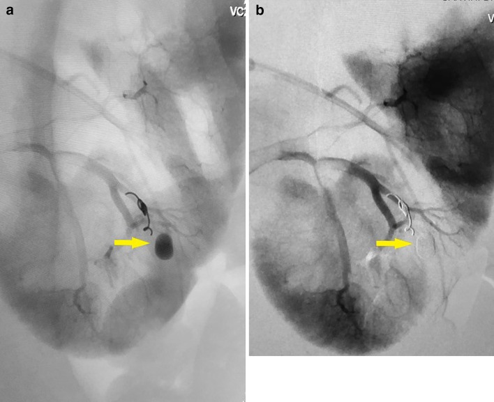 Fig. 8