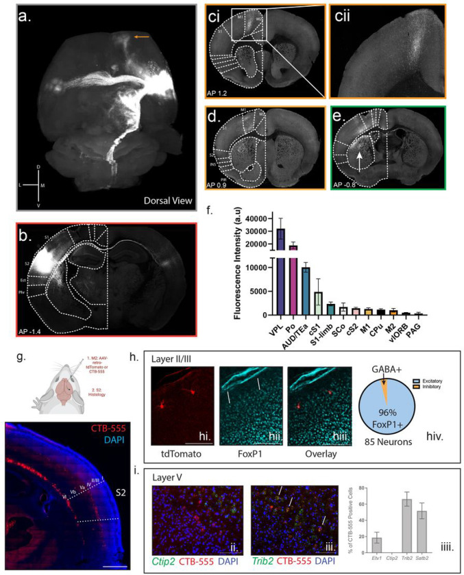 Figure 3:
