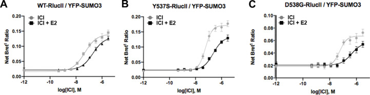 Figure 4—figure supplement 1.