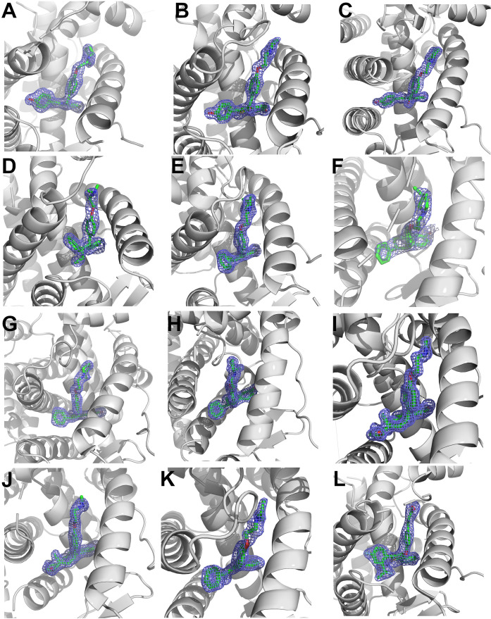 Figure 8—figure supplement 3.