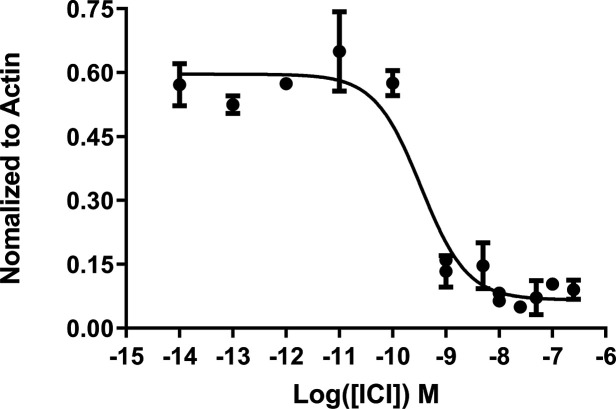 Figure 2—figure supplement 2.