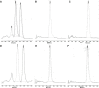 Figure 3—figure supplement 1.