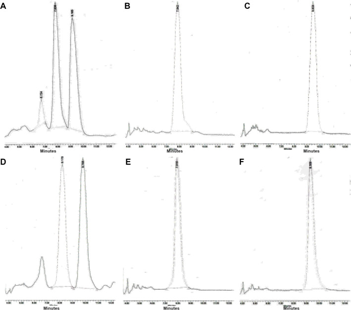 Figure 3—figure supplement 1.