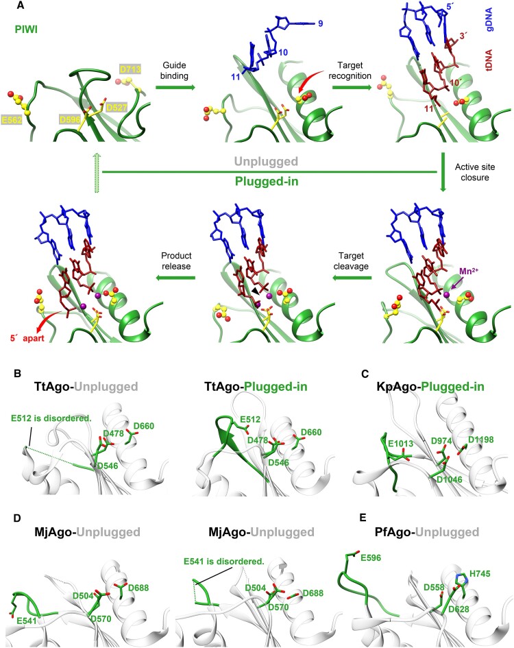 Figure 4.