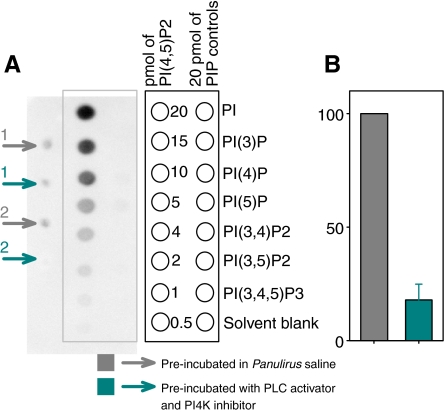 Fig. 3.