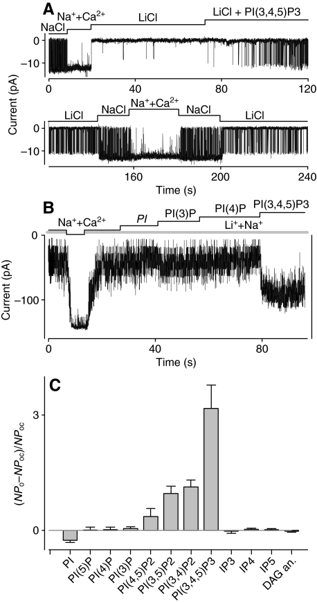 Fig. 1.