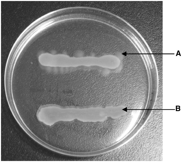 Figure 4.