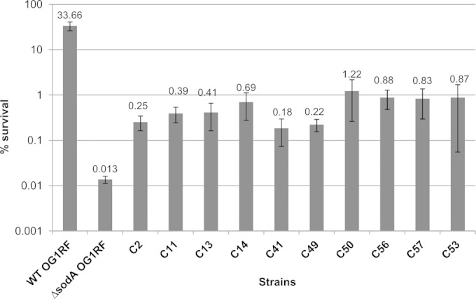 FIG 3