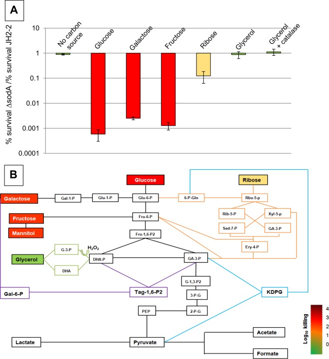 FIG 2