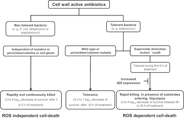 FIG 6