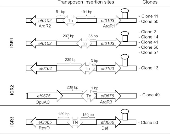 FIG 4