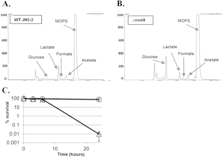 FIG 1