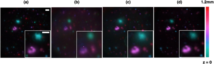 Figure 4