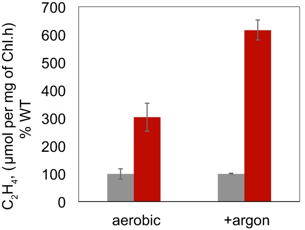 FIG 5