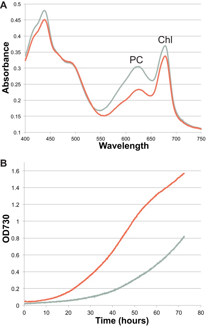 FIG 2