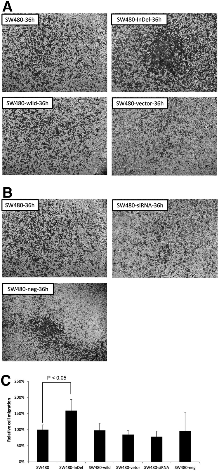 FIG. 5.