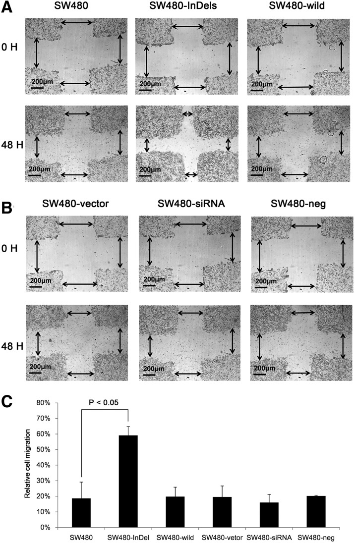 FIG. 4.