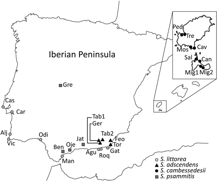 Figure 1.