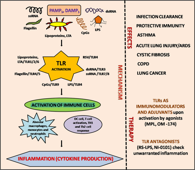 Unlabelled Image