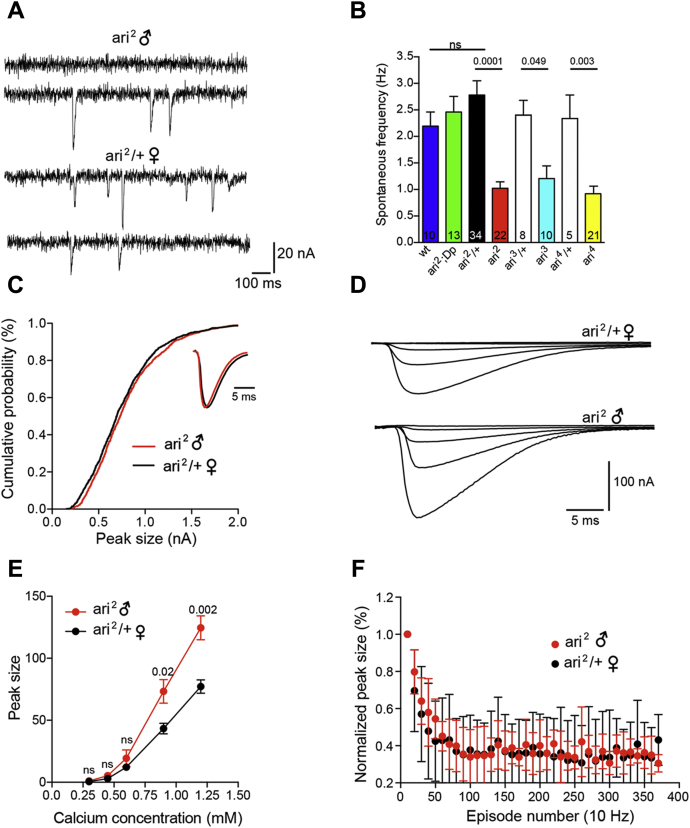 Figure 6