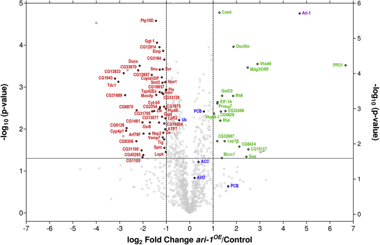 Figure 3