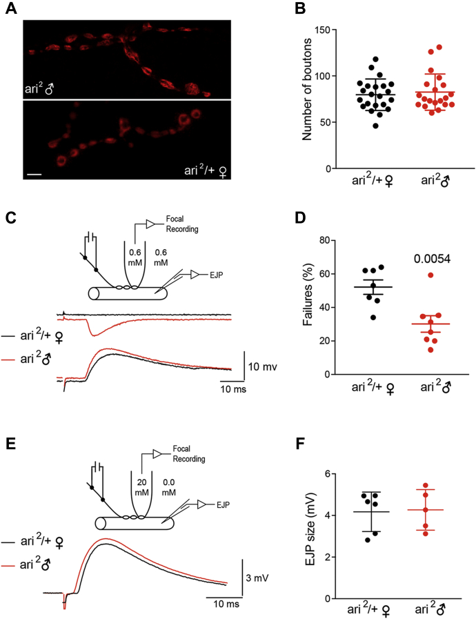 Figure 7