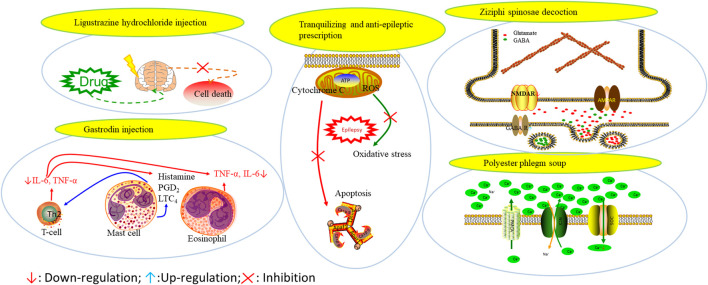 FIGURE 4